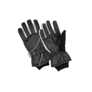 SKI Gloves