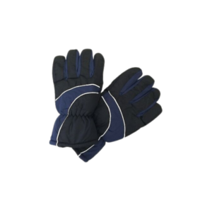 SKI Gloves