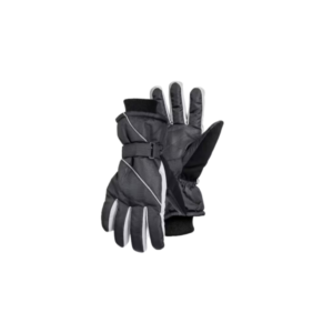 SKI Gloves